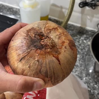 Mantarlaşmış Soğan Teslimatı Ve Cevapsız İade Süreci