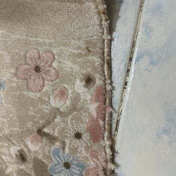 Halım Yıkanmadı, Yeni Lekeler Ve Saygısız Hizmet