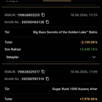 Bonus Şartları Belirsiz, Çekim İzni Reddi Ve Bakiyenin Keyfi Düşürülmesi