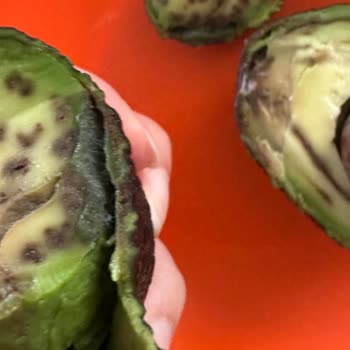A101 Küflenmiş Avokado Satışı Sağlık Riski Oluşturuyor