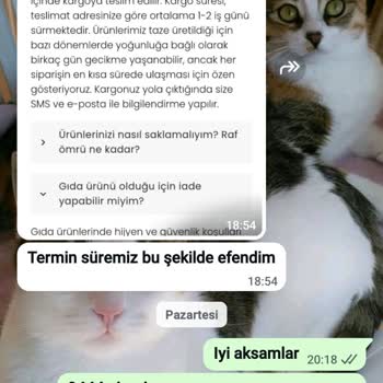 Kredi Kartı İle Ödenen 4.300 TL Siparişinin Teslim Edilmemesi Ve İletişimsizlik
