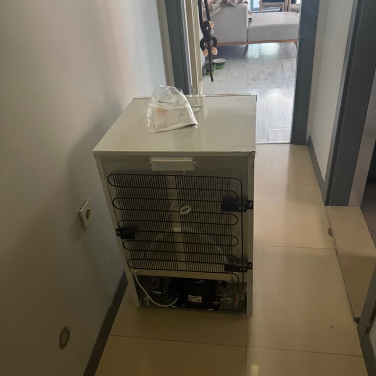 Yanıltıcı Bilgilendirme Ve Yanlış Model Teslimatı