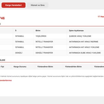 Acil Video Ekipmanı Kargosunun Gecikmesi İşimi Aksattı