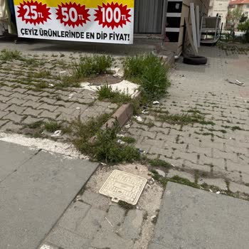 Binamızın Arka Girişi Nedeniyle Fiber Altyapı Talebi