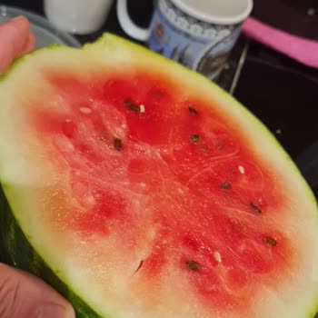 Çağdaş Market’te Kalitesiz Karpuz Satışı İçin İç Denetim Talebi