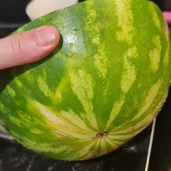 Çağdaş Market’te Kalitesiz Karpuz Satışı İçin İç Denetim Talebi
