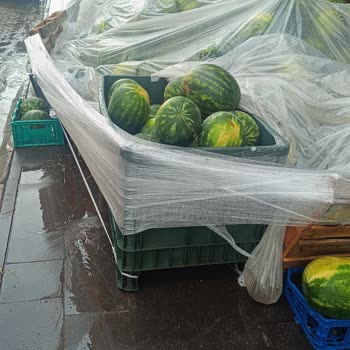 Kaldırıma Ürün Yerleştiren Şok Market Yaya Güvenliğini Aşağı Çekiyor