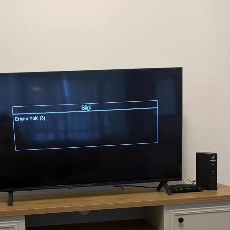 TV Kurulumu Tamamlanmadı, Sürekli Gecikme Ve Yanıtsız Müşteri Hizmetleri