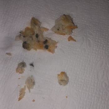 Acarlar Fırınında Ekmeğin İçinde Bulunan Yabancı Cisim Hijyen İhlali Ve Sağlık Riski