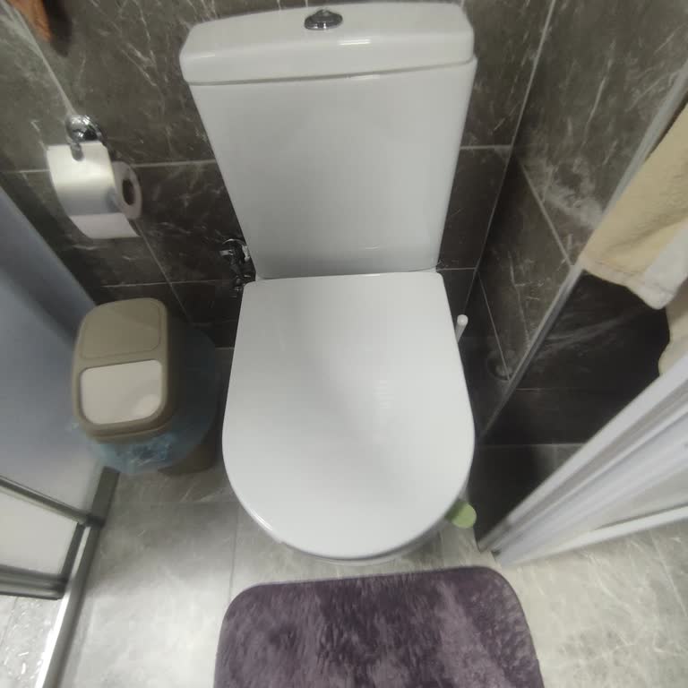 Klozet Kapağının Yavaş Kapanma Özelliği Bozuldu, Servis Gelmedi