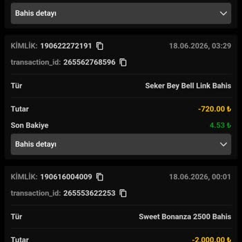 17.302 TL Bakiyem Sıfırlandı: Açıklama Ve İade Talebi