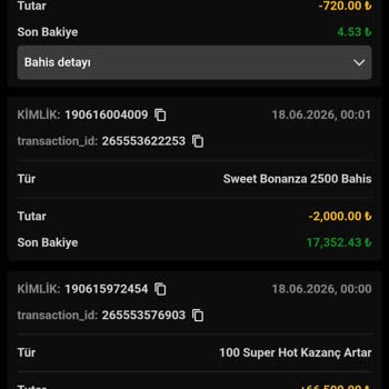 17.302 TL Bakiyem Sıfırlandı: Açıklama Ve İade Talebi
