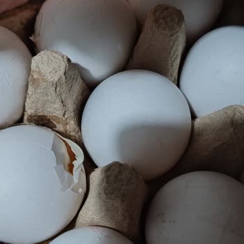 Migros Hemen’den Çürük Soğan Ve Kırık Yumurta Şikayeti