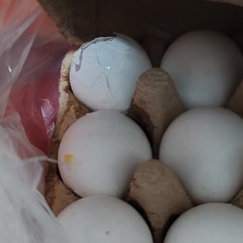 Migros Hemen’den Çürük Soğan Ve Kırık Yumurta Şikayeti