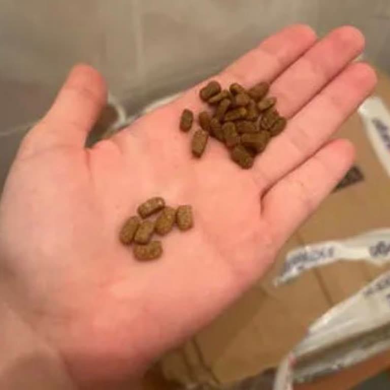 Hepsiburada Orijinal Olmayan Kedi Maması Nedeniyle Sağlık Sorunu, İade ve Satış Durdurulması Talebi