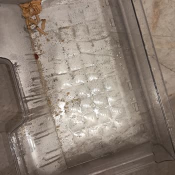 Arçelik Buzdolabında Dondurucu Kapısı Kapanmıyor Ve Alarm Çalışmıyor