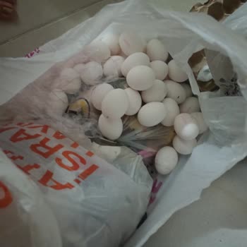Migros'tan Küflü Yumurta Şikayeti: Sağlık Riski Ve Soğuk Zincir Sorunu