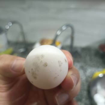 Migros'tan Küflü Yumurta Şikayeti: Sağlık Riski Ve Soğuk Zincir Sorunu