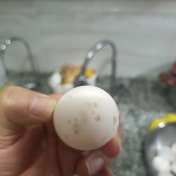 Migros'tan Küflü Yumurta Şikayeti: Sağlık Riski Ve Soğuk Zincir Sorunu