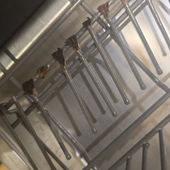 Franke Bulaşık Makinesinde Sepet Çabuk Paslanıyor Ücretsiz Değişim Talebi