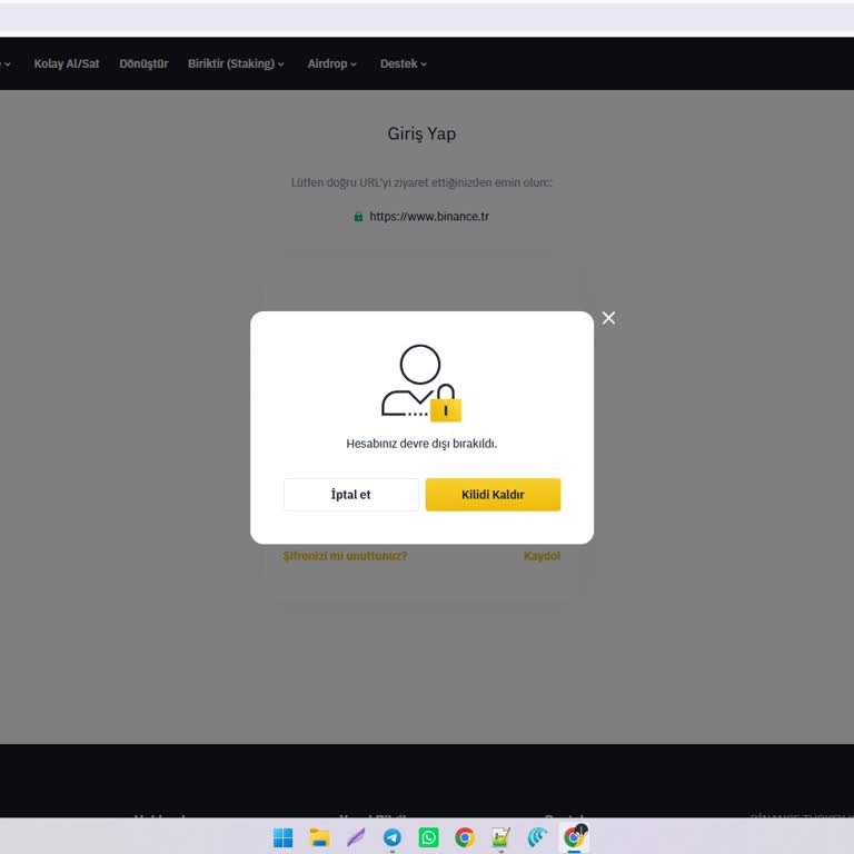 Binance TR Hesabım Gerekçesiz Kapatıldı Ve Verilere Erişim Engellendi
