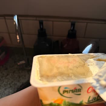 Organik Labne Peynirinde Pamuksu Doku Oluşumu Ve Değişim İsteği