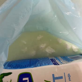 Bozuk Torku Sütü Yoğurt Kıvamı Ve Ağır Koku