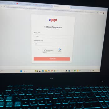 E-Logoda Faturalarıma Erişemiyorum