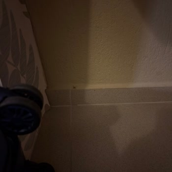Hotels.com Mimoza Hotel'de Karınca Ve Örümcek Sorunu Oda Değişikliği Ve İade Reddedildi