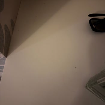 Hotels.com Mimoza Hotel'de Karınca Ve Örümcek Sorunu Oda Değişikliği Ve İade Reddedildi
