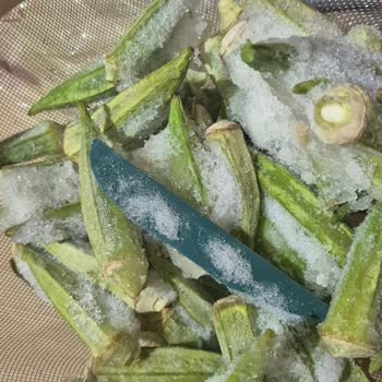 BİM Mutfağım Dondurulmuş Üründe Plastik Parça Bulunması Gıda Güvenliği Tehdidi