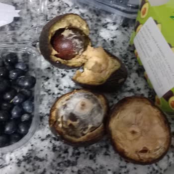 Ayıplı Avokado Ve Yaban Mersini İçin Hızlı İade Talebi