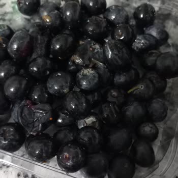 Ayıplı Avokado Ve Yaban Mersini İçin Hızlı İade Talebi