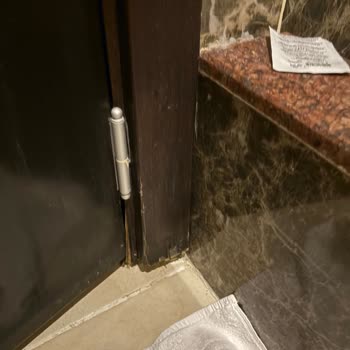 Mc Arancia Alanya Otelinde Hamam Böceği Sorunu Ve Yetersiz Hizmet