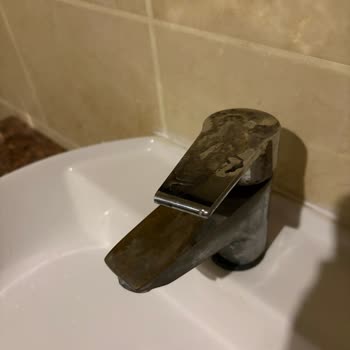 Mc Arancia Alanya Otelinde Hamam Böceği Sorunu Ve Yetersiz Hizmet