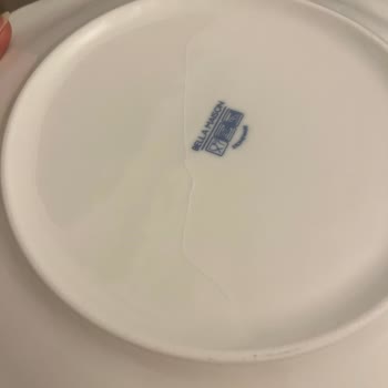 Çatlak Büyük Servis Tabağı Ve Yanıtsız Müşteri Hizmeti