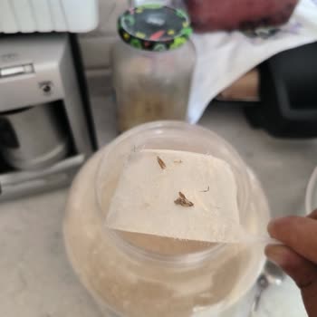 Whey Protein'de Böcek Ve Ağlar Bulduğum İçin Değişim Talep Ediyorum