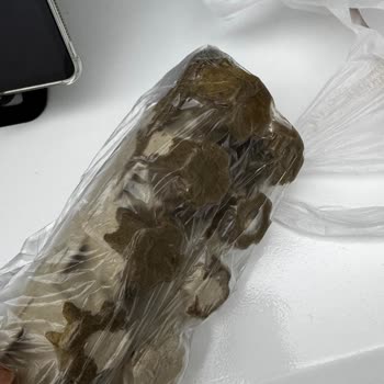 Migros Kırık Yumurta Teslimatı Ve Cevapsız Müşteri Desteği