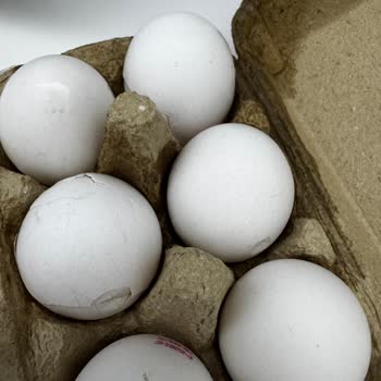 Migros Kırık Yumurta Teslimatı Ve Cevapsız Müşteri Desteği
