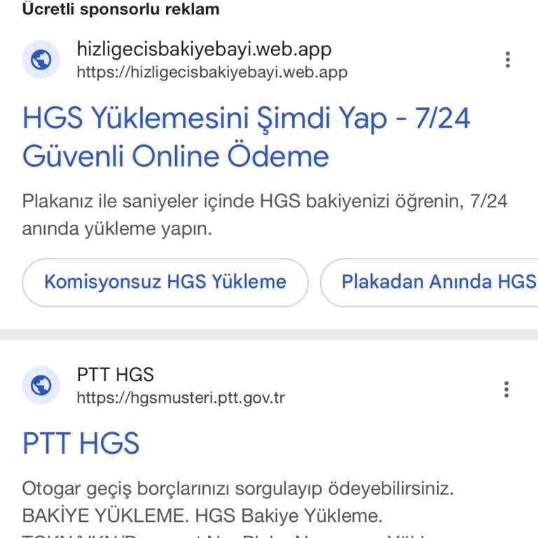 Sahte HGS Yükleme Sayfası Üzerinden Çekilen 30.019,05 TL İadesi Ve Site Kaldırma Talebi