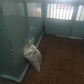 Daire Kapısına Teslim Edilemeyen Kedi Kumu Siparişinde Sürat Kargo İhmalı