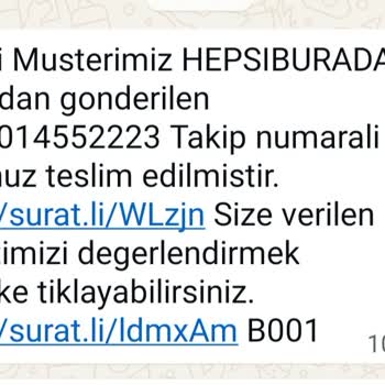 Daire Kapısına Teslim Edilemeyen Kedi Kumu Siparişinde Sürat Kargo İhmalı