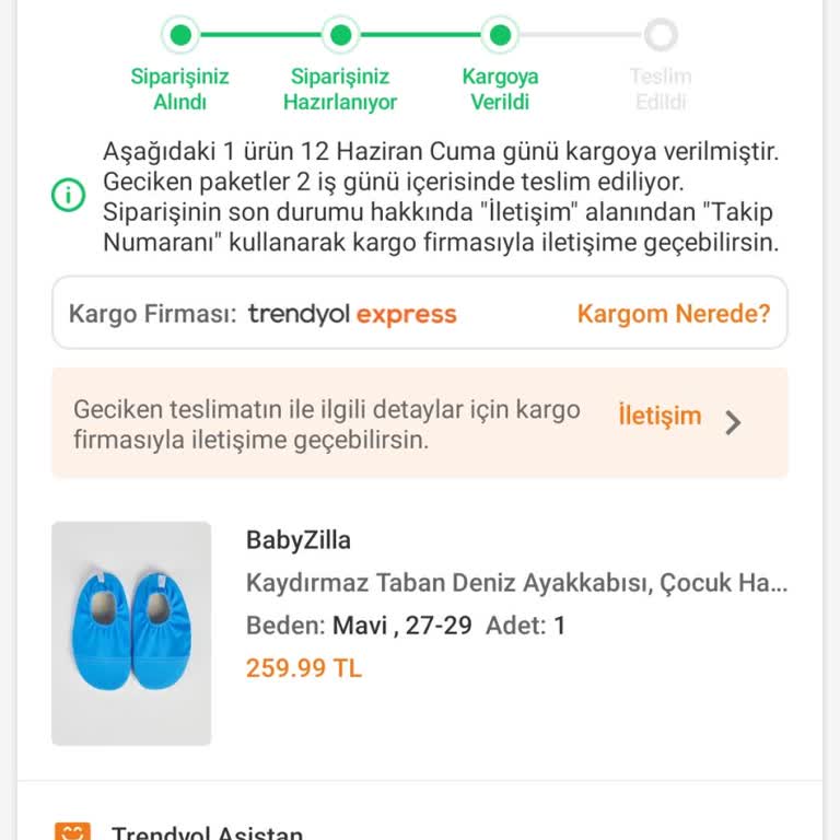 Teslim Edilmemiş Çocuk Havuz Terliği Ve İlgisiz Müşteri Hizmetleri