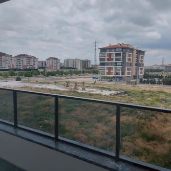 Belediye Arsası Bakımsız, Acil İlaçlama Ve Temizlik Gerekiyor