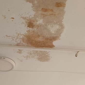 Karmod Prefabrik'tan Aldığım Evde Veranda Sızıntısı Ve Çözülmeyen Sorunlar