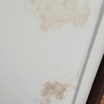 Karmod Prefabrik'tan Aldığım Evde Veranda Sızıntısı Ve Çözülmeyen Sorunlar