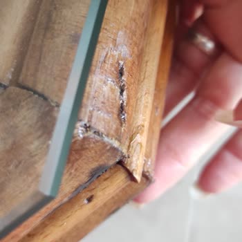 Ayıplı Bambu Çay Seti Ve Cevapsız Müşteri Hizmeti
