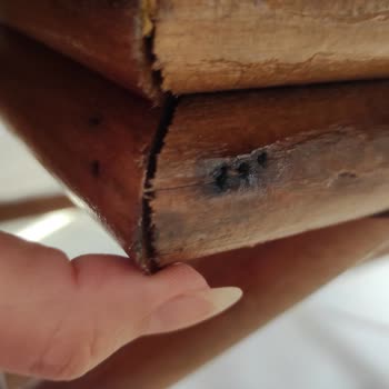 Ayıplı Bambu Çay Seti Ve Cevapsız Müşteri Hizmeti