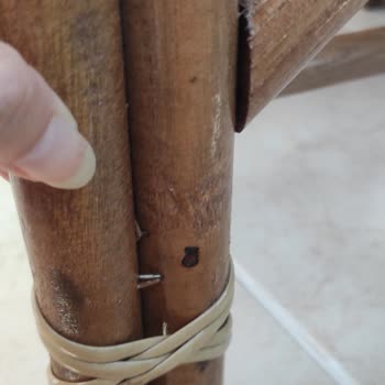 Ayıplı Bambu Çay Seti Ve Cevapsız Müşteri Hizmeti