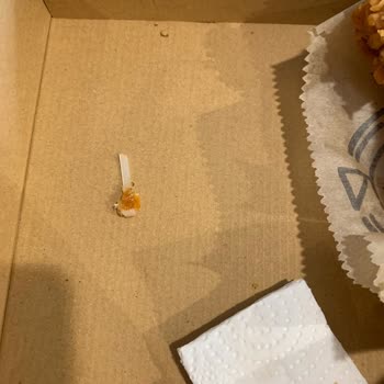 Plastik Parça İçeren Burger Ve Cevapsız Müşteri Hizmeti